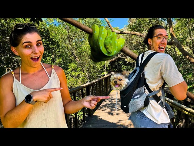 Walking Our Dog Goes Wrong In Australia! 🐍🐶 *SNAKE WARNING*