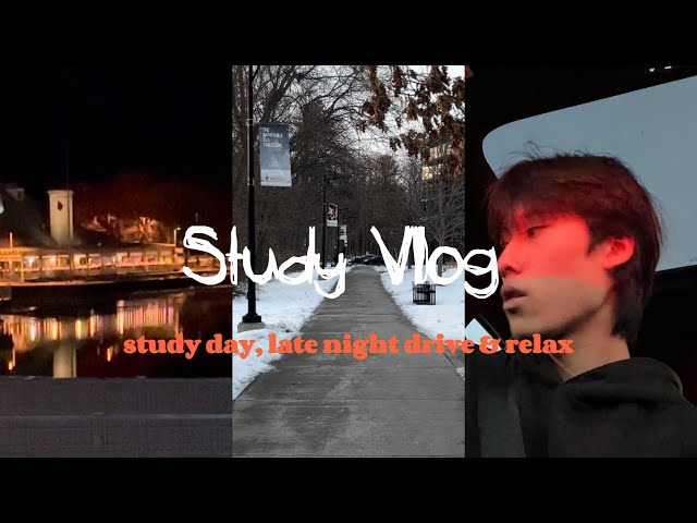 Study Vlog: Fourth Year Student at University of Toronto. Study, Relax etc