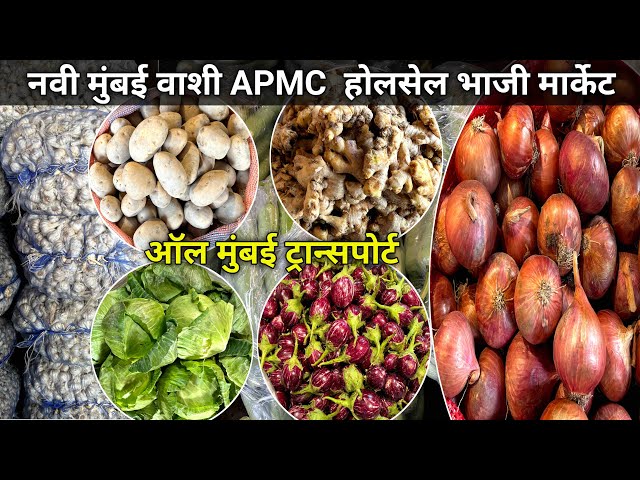 Mumbai Vashi Bhaji Market | Vashi Apmc Bhaji Market | Wholesale Bhaji Market In Mumbai