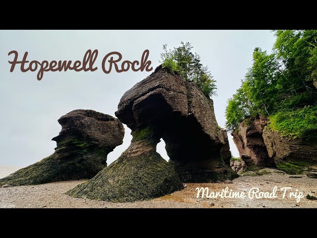 Hopewell Rocks Provincial Park - Moncton - Shediac🚐Atlantic Canada Maritime Road Trip Day 3 202306