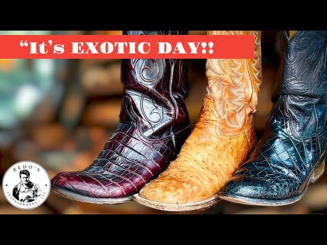 It’s Exotic Day today, Alligator(Belly)Lucchese, Ostrich TonyLama and hornback gator no name boots.