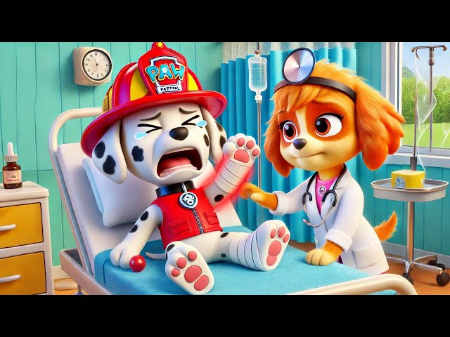 MARSHALL Is Scared Of Doctor?! Funny Story | Paw Patrol Ultimate Rescue | Full Episodes | Rainbow 3