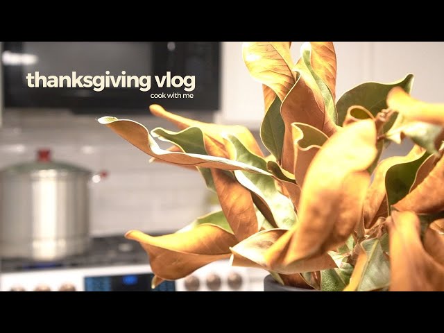 November Diaries | Mini Thanksgiving Vlog