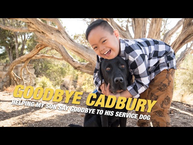 GOODBYE CADBURY | A SOCIAL STORY TO HELP MY SON SAY GOODBYE TO HIS SERVICE DOG