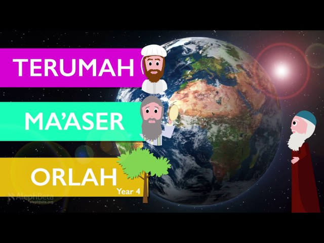 Why In The World Do We Celebrate Tu B'shvat? (Crash Course)