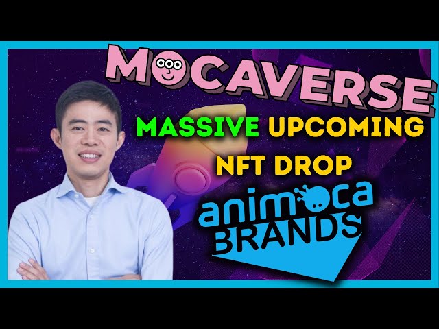 Animoca Brands OFFICIAL NFT Collection! What You Need To Know!