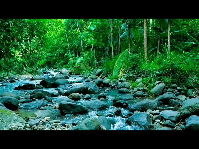 relaxing river sound sound calm water for meditation , for deep sleep , stress relief and relax