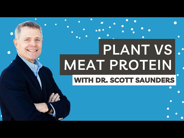 Plant VS Meat Protein