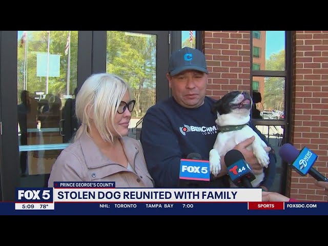 Stolen dog Gianni reunited with family in Hyattsville | FOX 5 DC