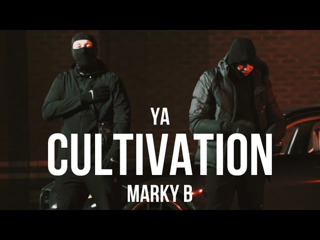 YA X Marky B - Cultivation