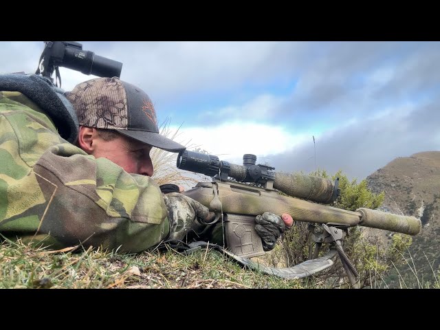 308win snipers Hogs and deer | Long Range Hunting | Big Recovery