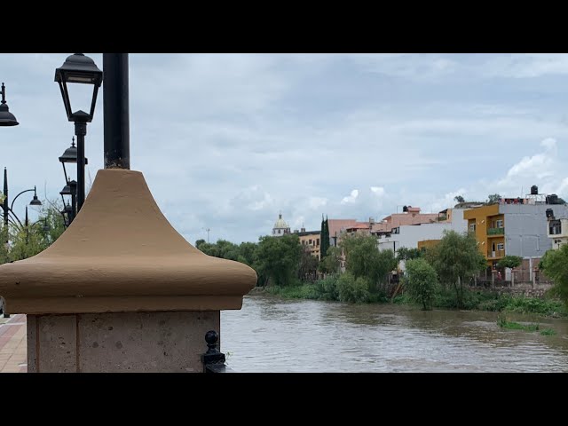 Un Momento de Serenidad en San Juan de los Lagos | 2024 4K