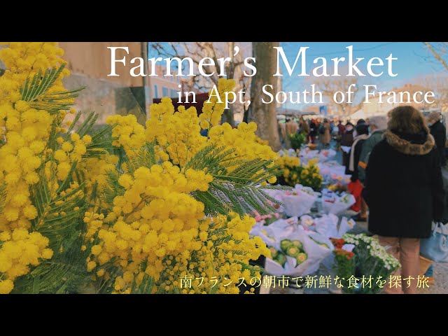 Farmer's market in Apt in 2022 / South of France / Provence / Mimosa / raclette / fresh vegetable /