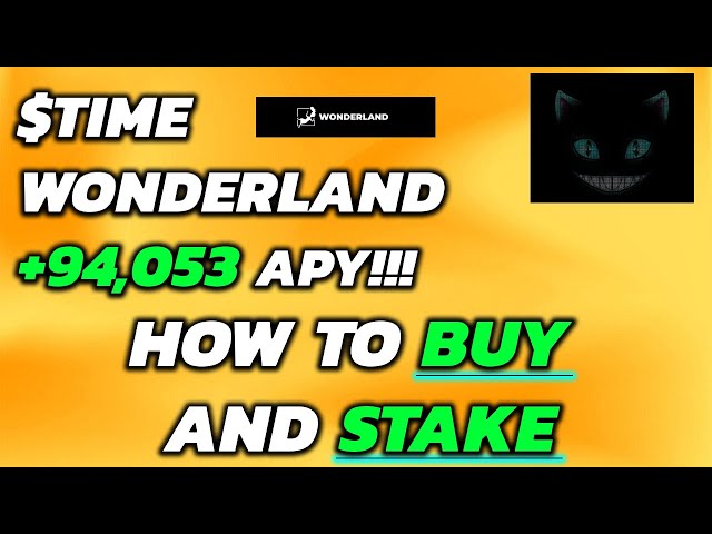 How To Stake TIME Wonderland  How To Buy Wonderland Crypto Video