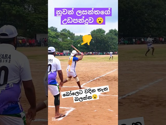 අපේ එල්ලේ 🏌️⚾🏃 #elle #sport #viral #trending #shotsvideo #sports #periyamulladjsong