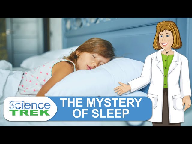 Sleep: The Mystery of Sleep | Science Trek