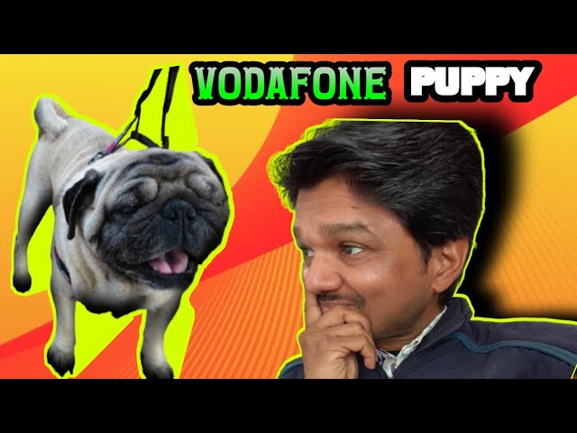 VODAFONE PUPPY (DOGI)🐕II OM SAGAR VLOGS #puppydog