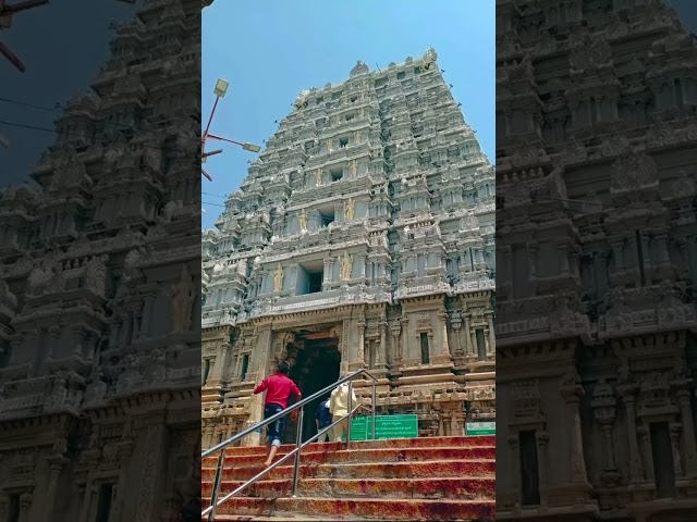 TIRUMALA Tour By Walk 🙏 ALIPIRI METTLU #tirumala #tirupati #tirumalabalaji #venkateswaraswami