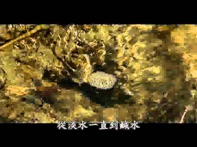 2010海洋教育中心