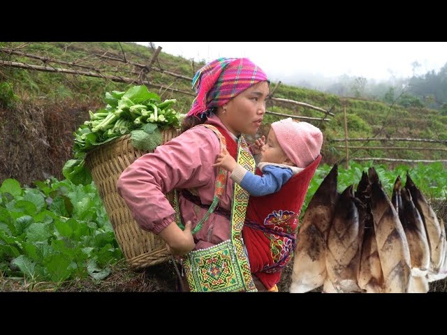 The way to dig young bamboo shoots deep underground. technique to identify