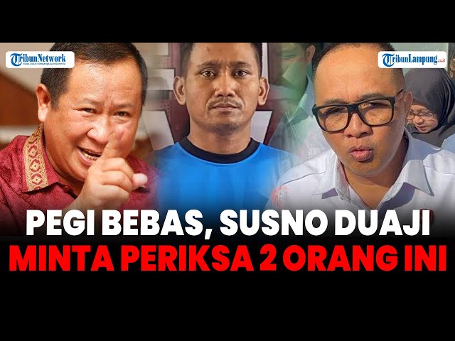 Tersangka Kasus Vina Cirebon Bebas, Purn Jenderal Minta Periksa 2 Orang Ini