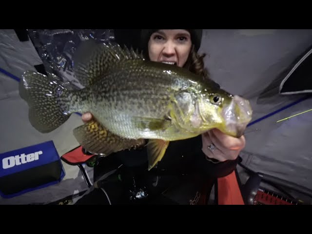 The Biggest Crappie of Our Lives Caught Through the Ice