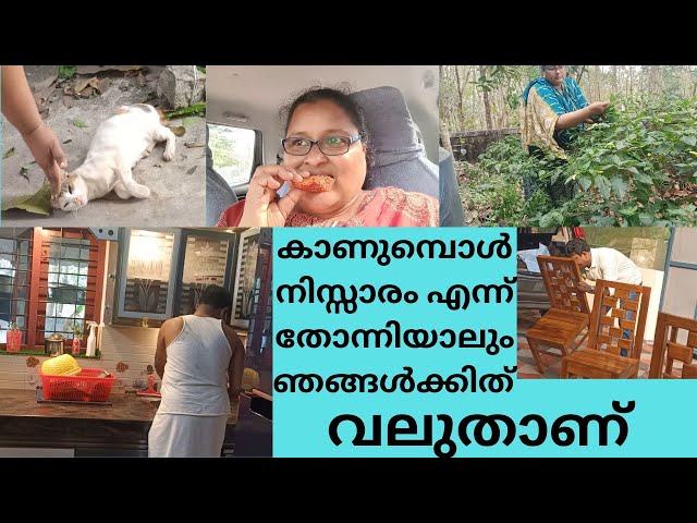 അങ്ങനെ വീണ്ടും വീട്ടിലേക്കു കുറച്ചു സാധനങ്ങൾ വാങ്ങി #HelpMeLord