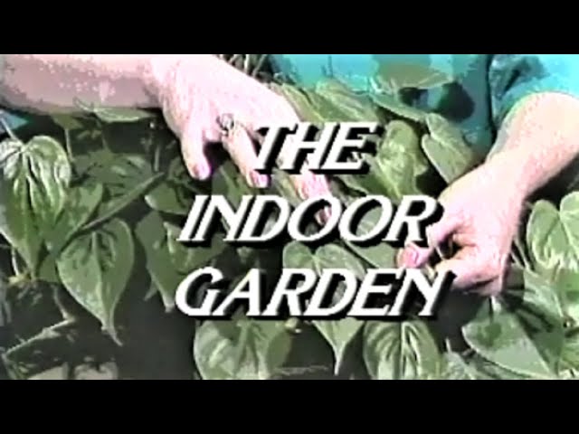 The Indoor Garden TV Show Trailer: a 90's How-to Television Series