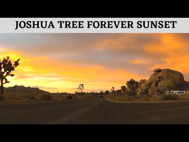 Joshua Tree Forever Sunset - Take a magical journey through the Western Sunset