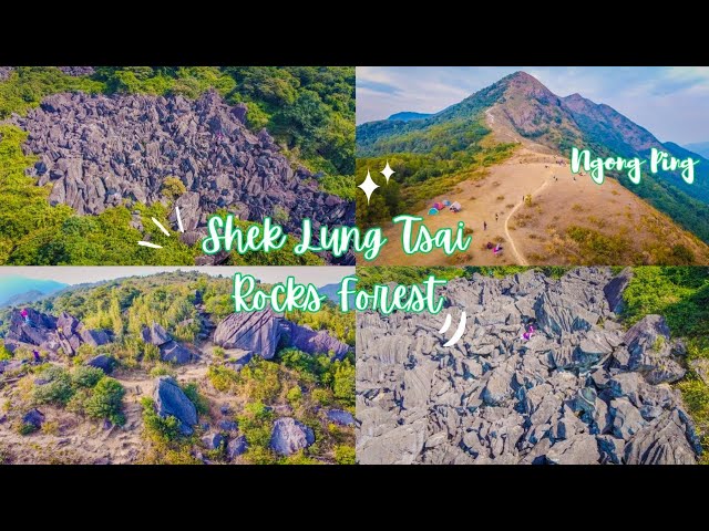 鹿巢石林 SHEK LUNG TSAI ROCKS FOREST |  NGONG PING PLATEAU MACLEHOSE SECTION IV