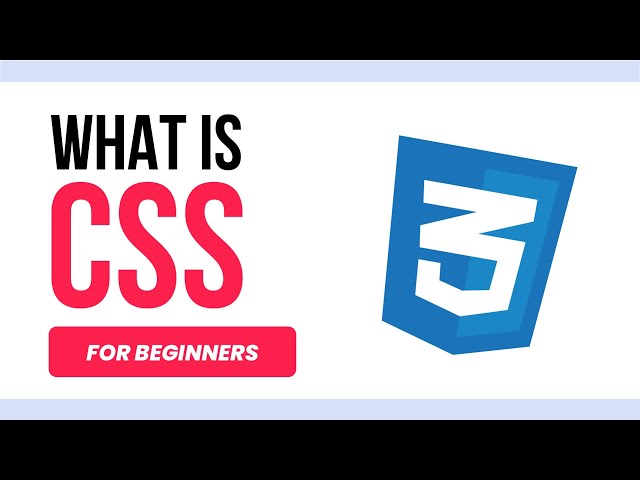 What is CSS? | Tutorial for Beginners