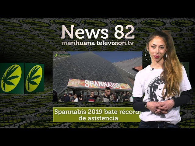 Spannabis 2019. ICBC: Damian Jr Bong Marley en Barcelona. Marihuana  Grow LED y SCROG. News 82