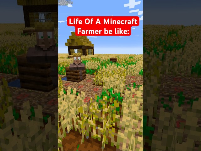 Life of a farmer in #minecraft