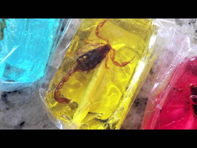 Poisonous Scorpion Candy Lollipops