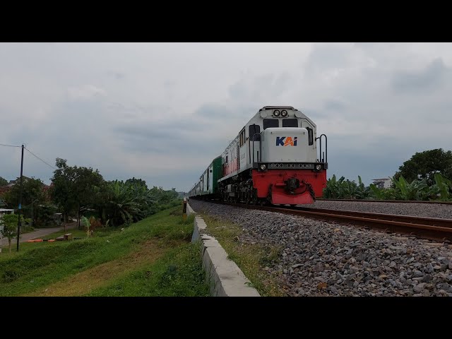 Ka 277 Sritanjung Ft. CC204 03 06 YK ex CC201 06 Melintas Di Kali Kedung Banteng