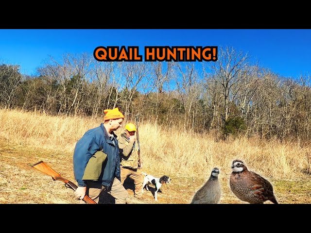 We went Quail Hunting!