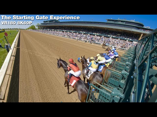 The Starting Gate Experience