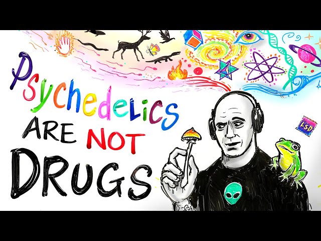 Joe's Epic Rant About Psychedelics - Animated by After Skool