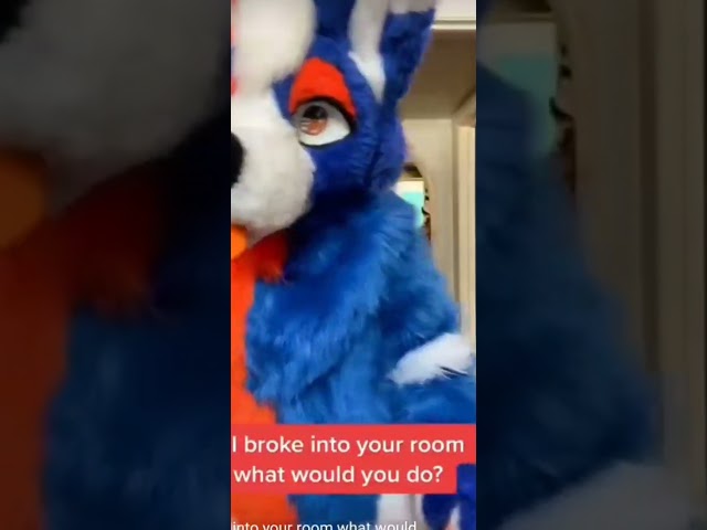 bye furry