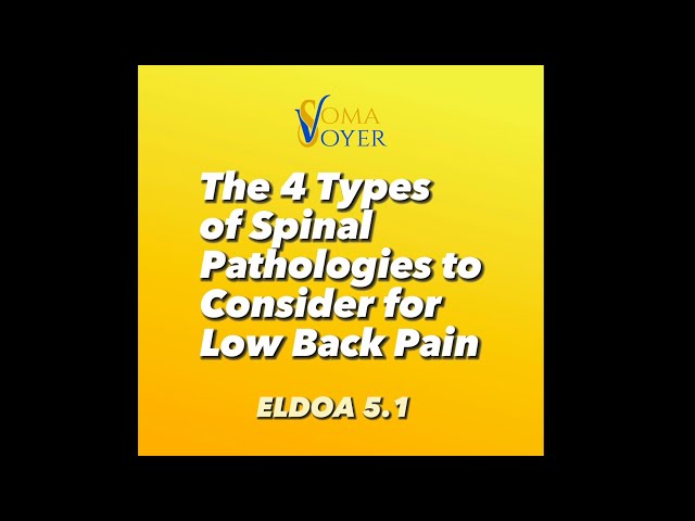 4 types of spinal pathologies to consider for Low Back Pain