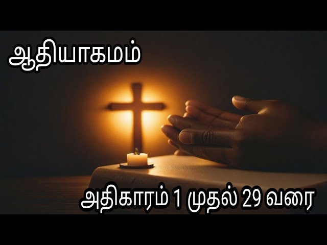 ஆதியாகமம் – அதிகாரம் 1 முதல் 29 வரை