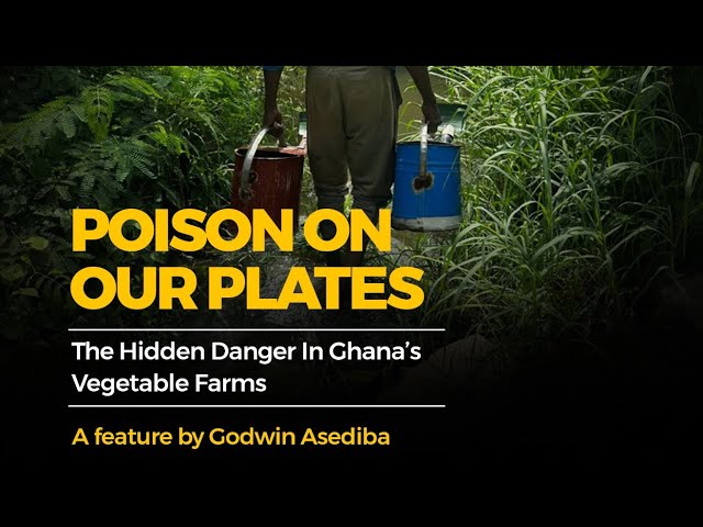 POISON ON OUR PLATES