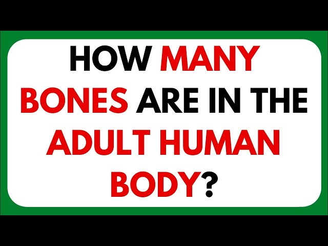 🧠🚶 Human Body Quiz! Only 1% Can Get This Right! #BodyFacts #RiddleTime #SmartQuiz