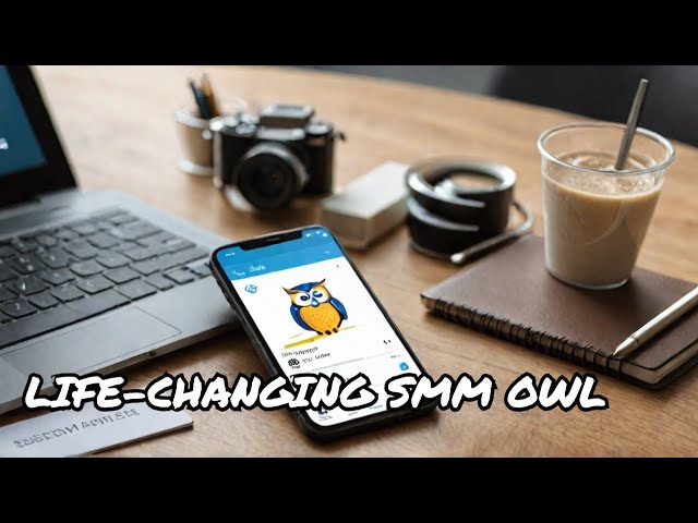 SMM Owl App Orders in 10 Minutes a Day Changed My Life!