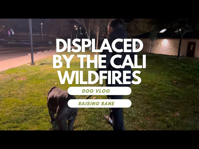 We were displaced by the California Wildfires