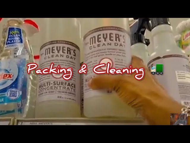 More Packing + Shopping trip for Cleaning Supplies | Moving Series | Vlog Part 3