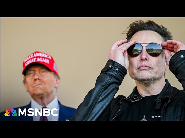 ‘This is insane’: Trump letting Elon Musk steal the spotlight