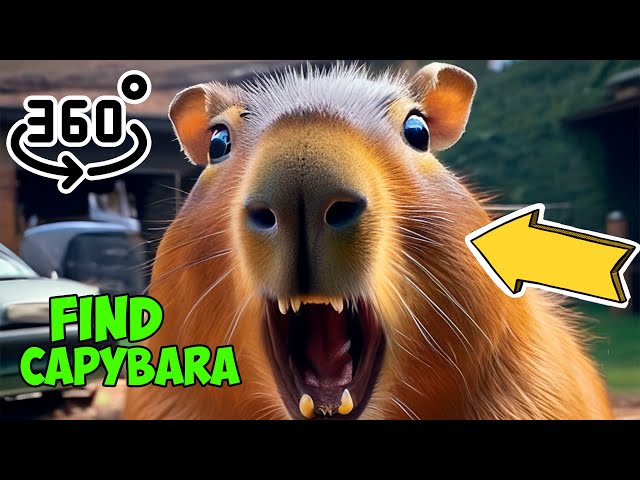 360 Find a capybara in a 3D world. 3 searches of 10 seconds. Set the video quality to maximum.