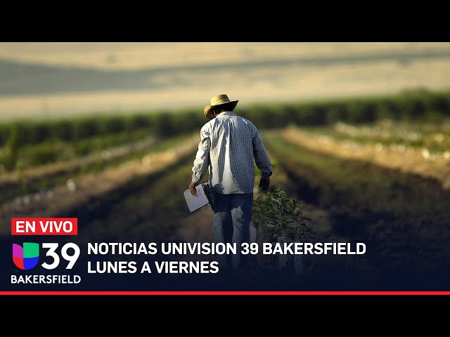 🔴En vivo| Noticias Univision Bakersfield|  Persecución de sospechosos en Fresno termina en tiroteo