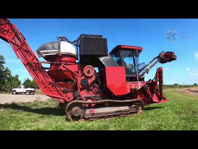 Case IH Austoft 8800 – Harvest Sugarcane Faster Than Ever!